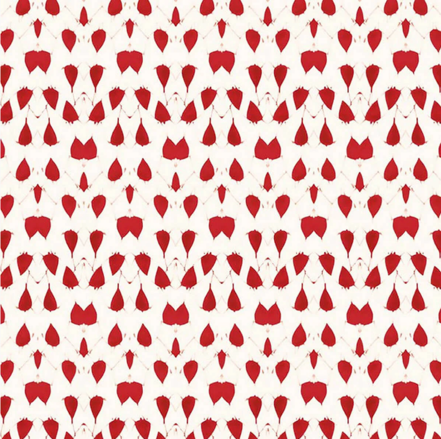 Ottoline | Porcelain Wings