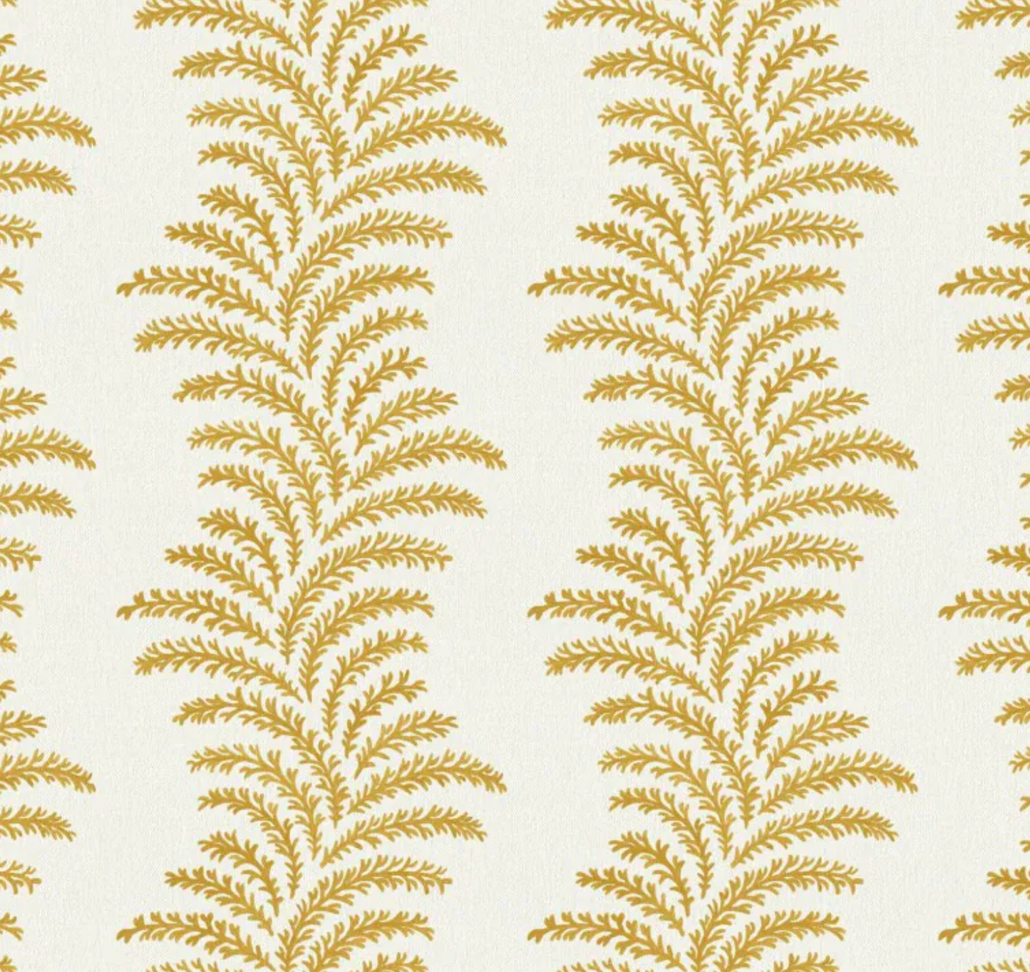 Warner House | Aubry