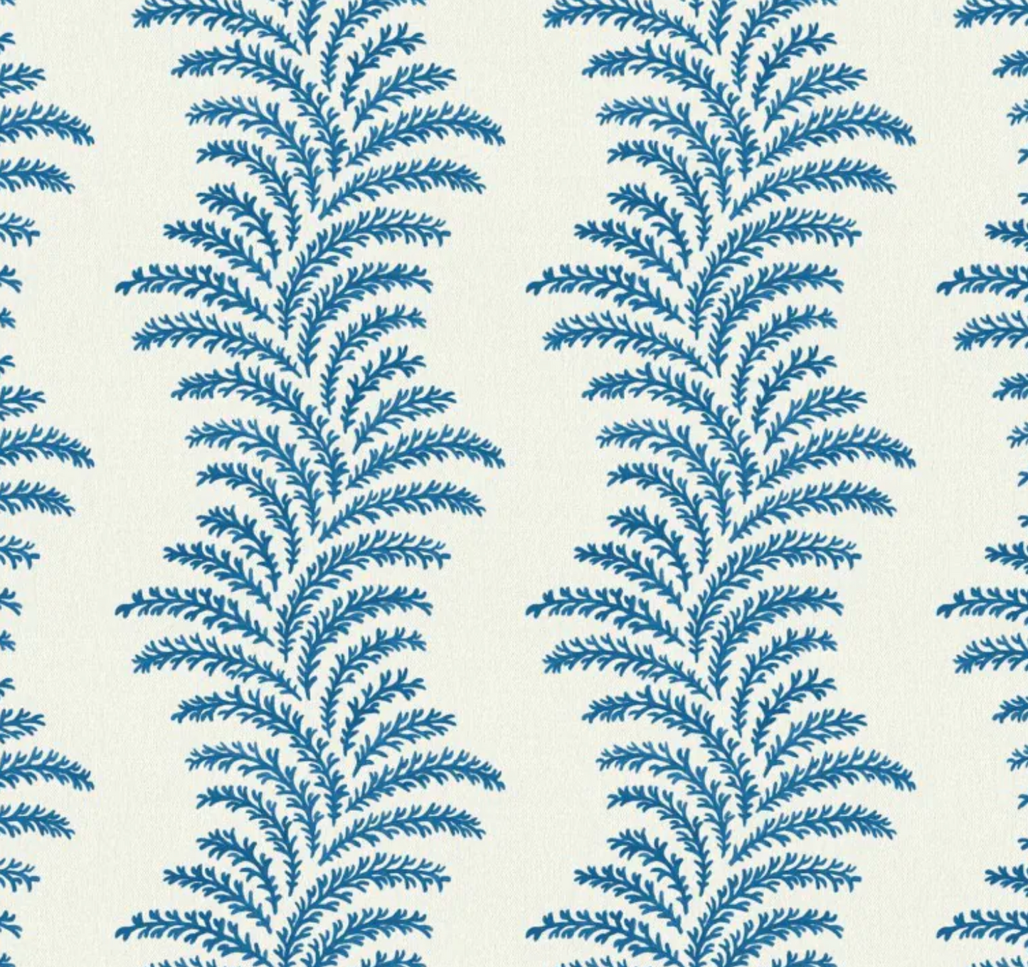 Warner House | Aubry