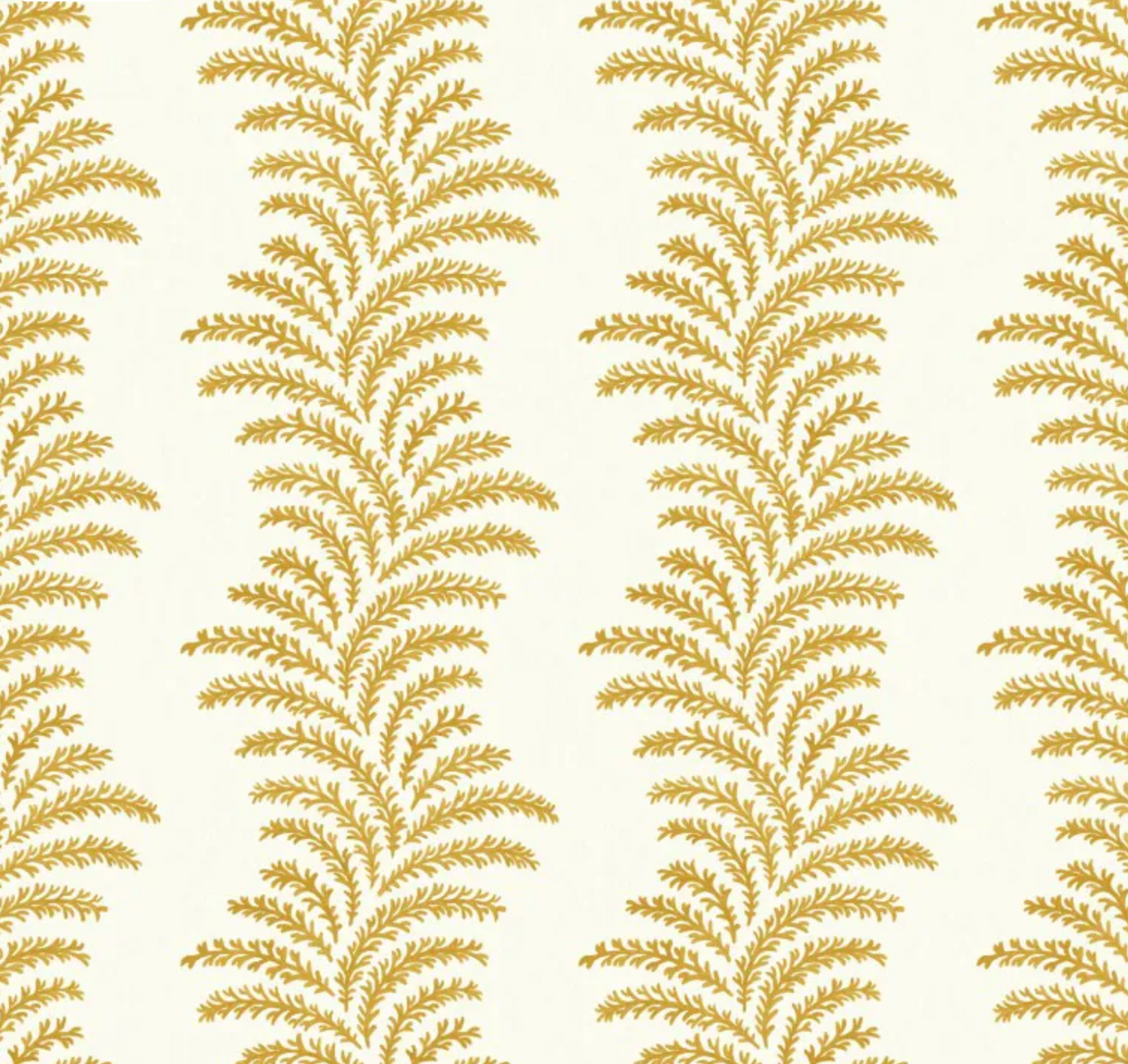 Warner House | Aubry