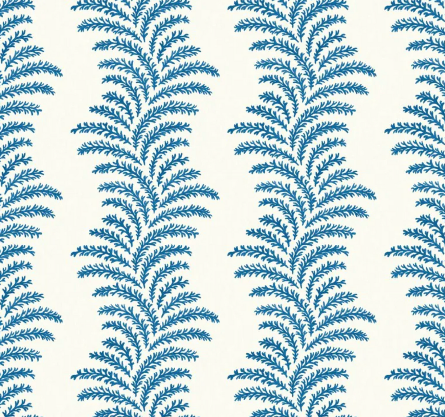 Warner House | Aubry