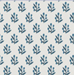 Ferrick Mason | Caroline