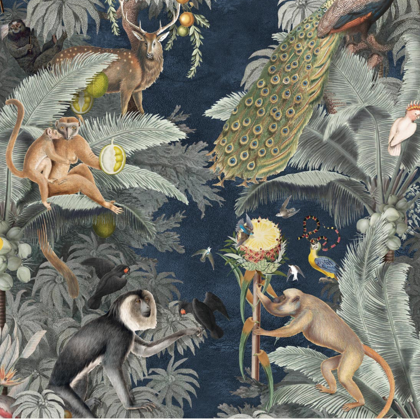 Milton & King | Arcadia