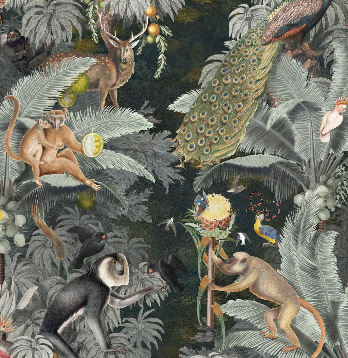 Milton & King | Arcadia