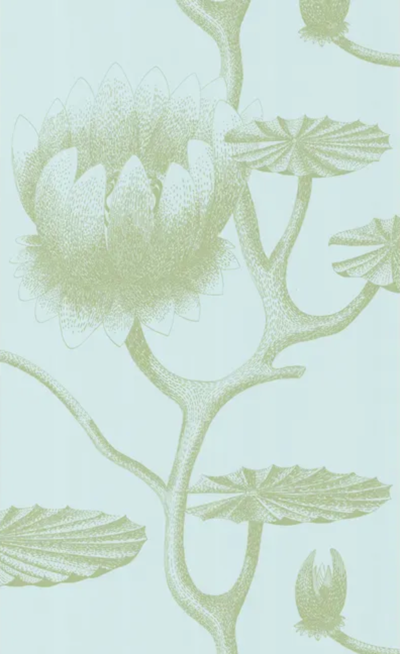 Cole & Son | Lily Lotus