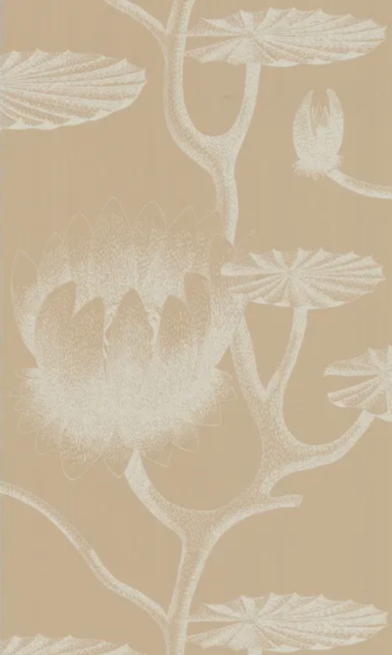 Cole & Son | Lily Lotus