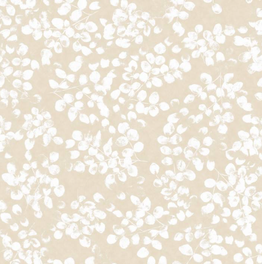 Peter Fasano | Amelie