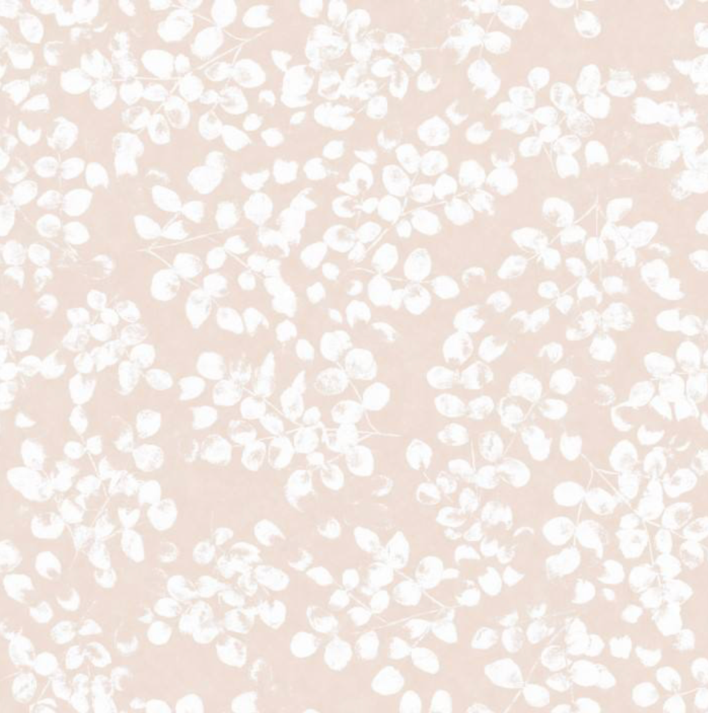 Peter Fasano | Amelie