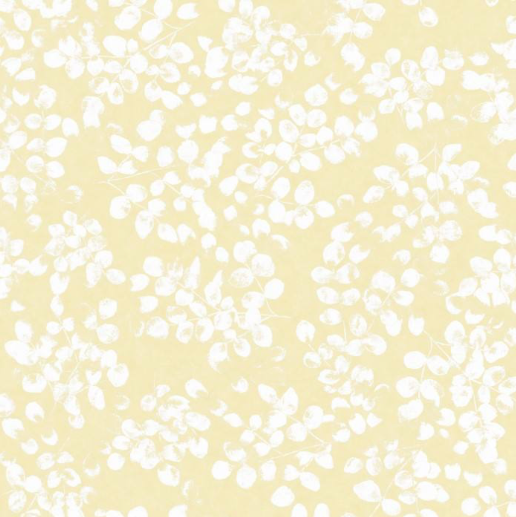 Peter Fasano | Amelie