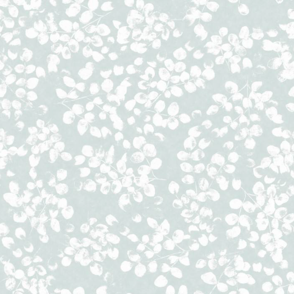 Peter Fasano | Amelie