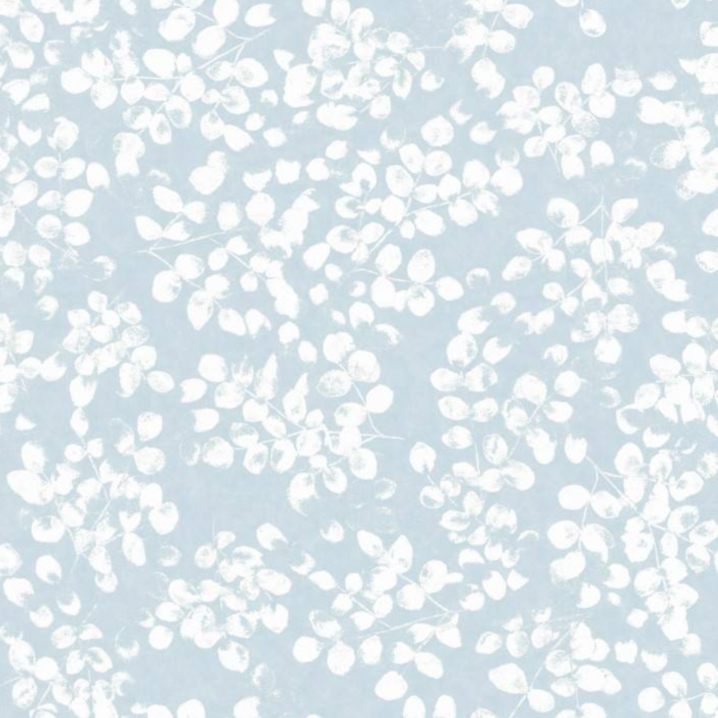 Peter Fasano | Amelie