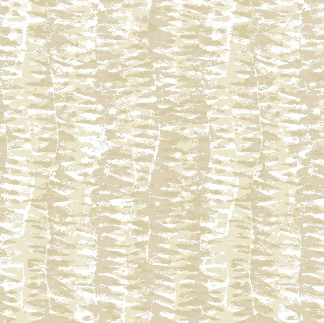 Peter Fasano | Afton