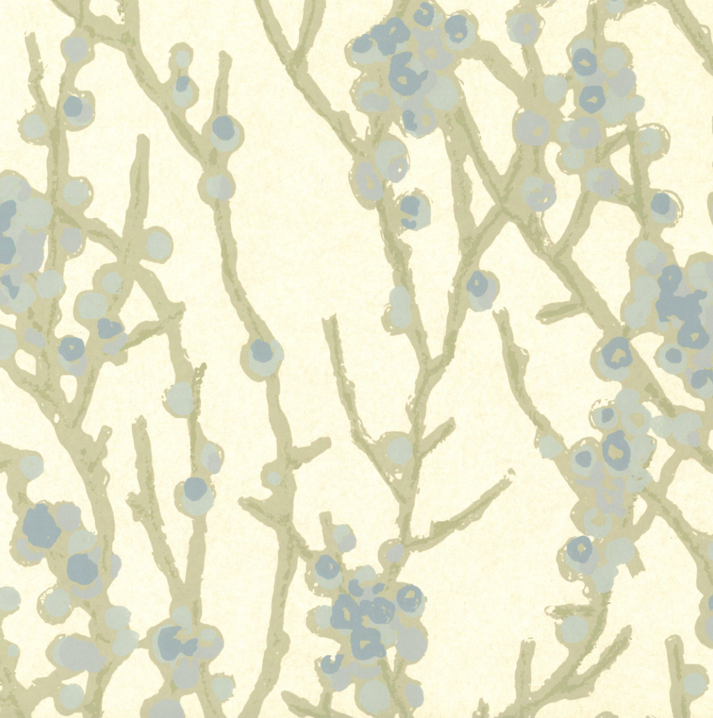 Peter Fasano | Kinomi