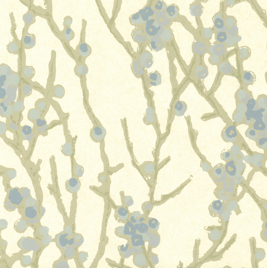 Peter Fasano | Kinomi