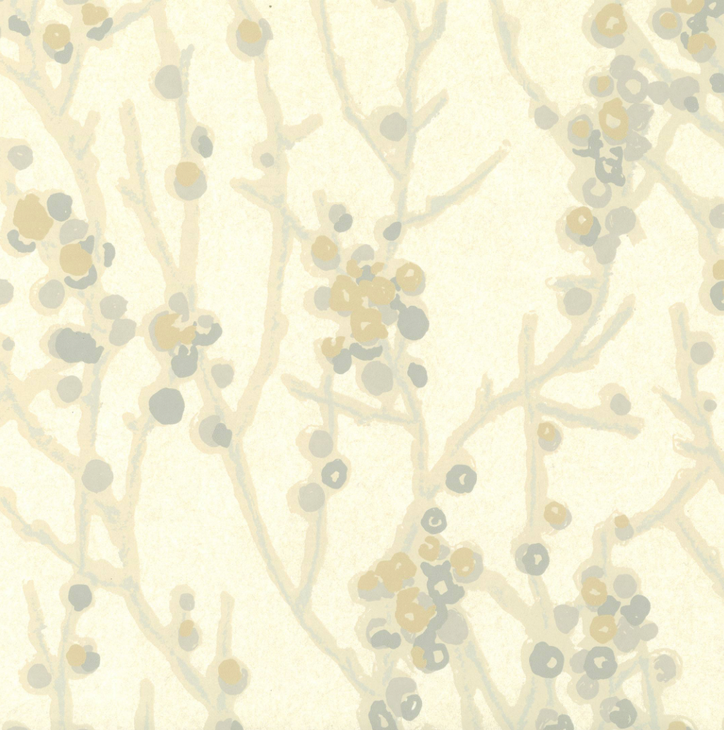 Peter Fasano | Kinomi