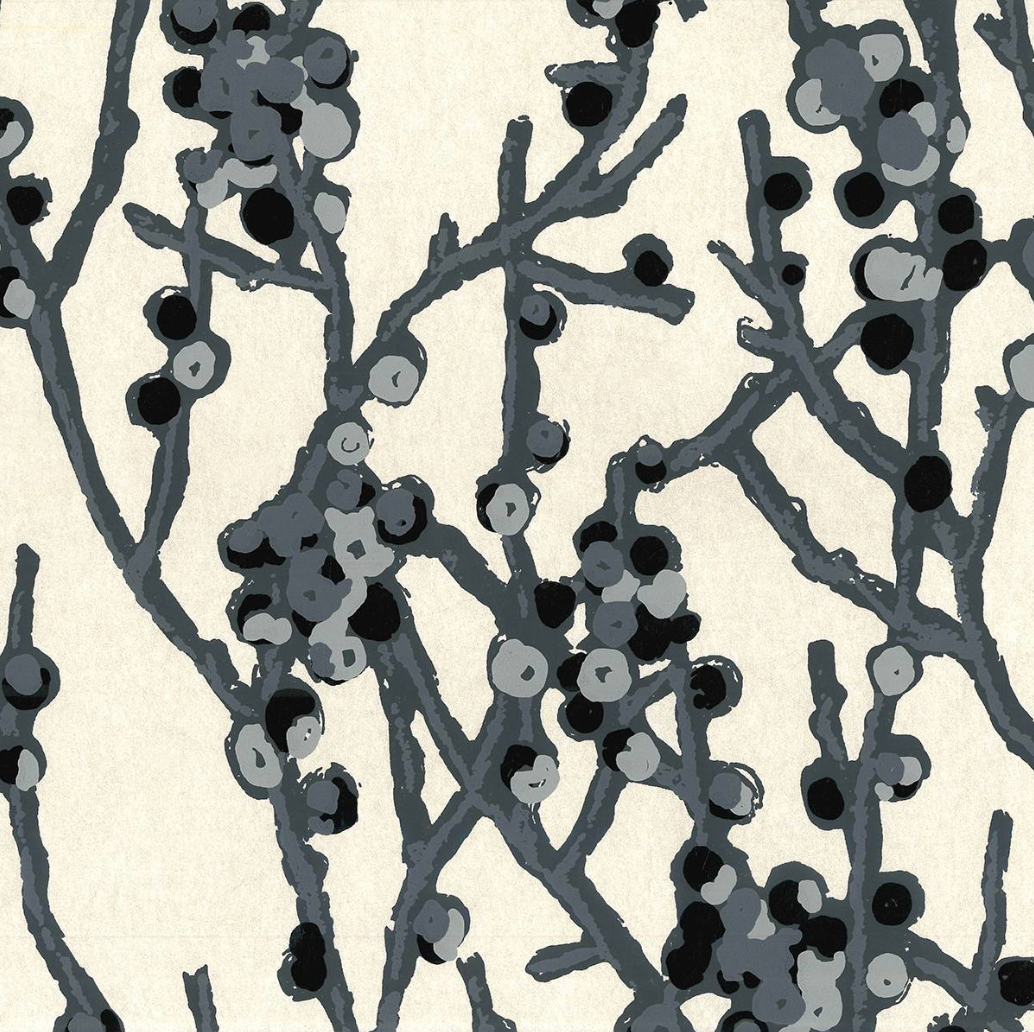 Peter Fasano | Kinomi