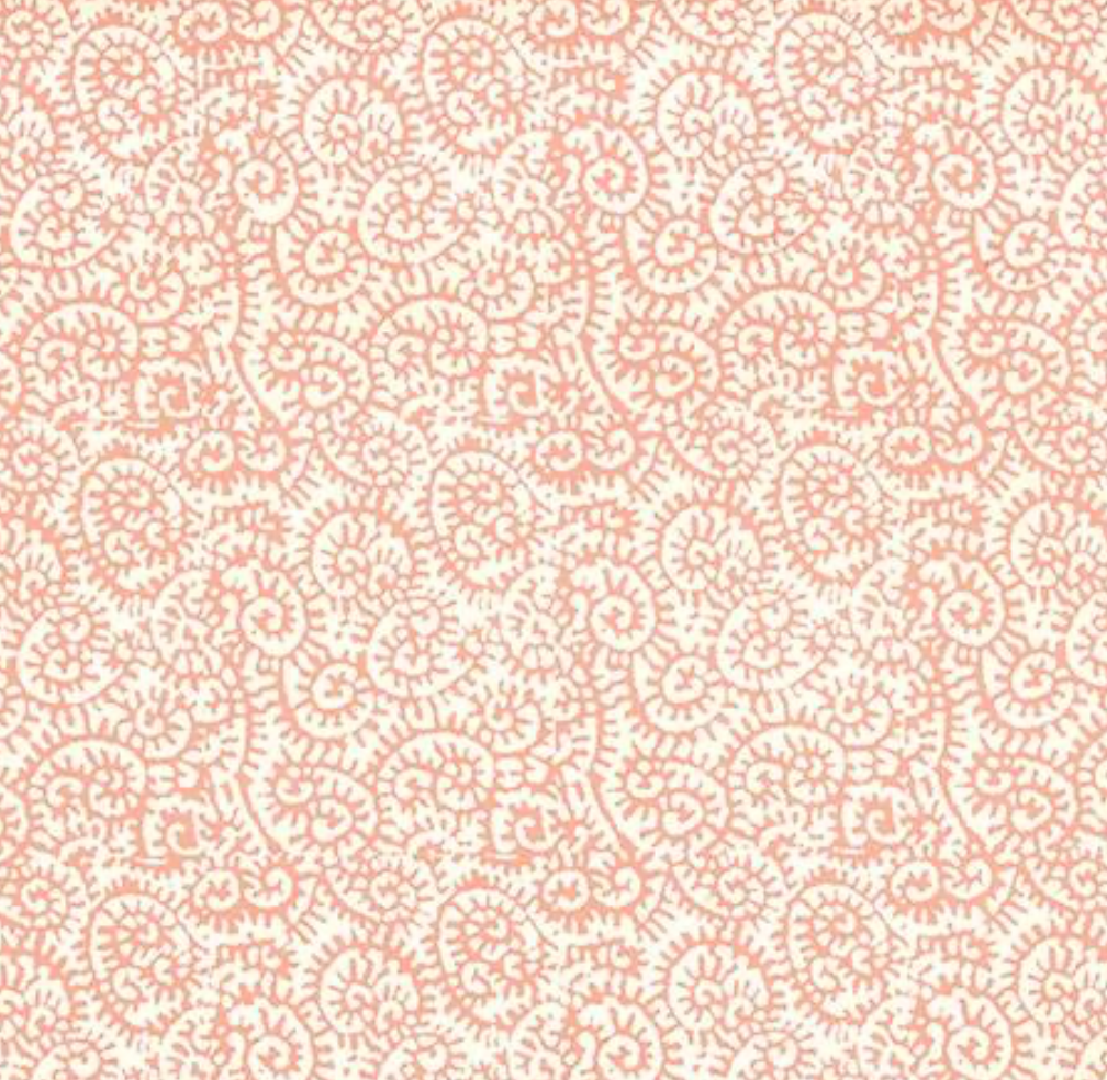 Peter Fasano | Fiddlehead