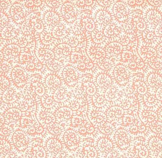 Peter Fasano | Fiddlehead