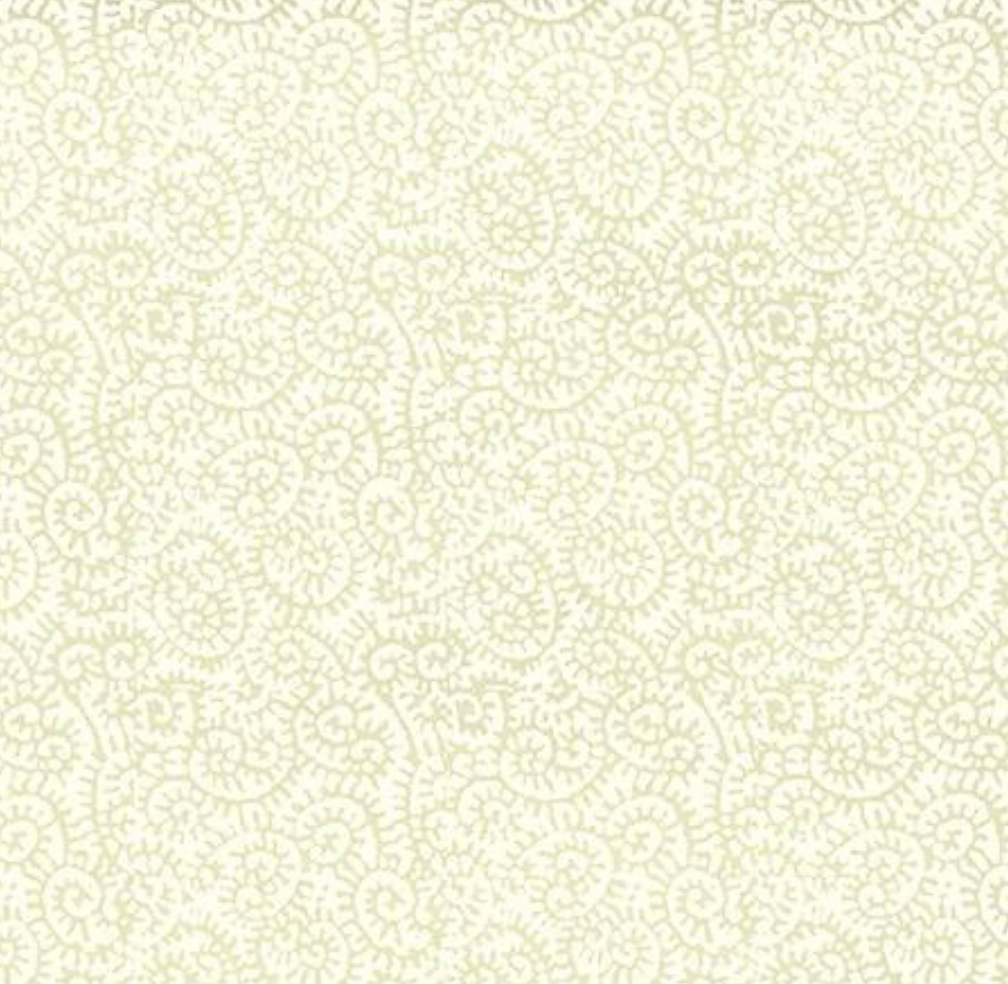 Peter Fasano | Fiddlehead