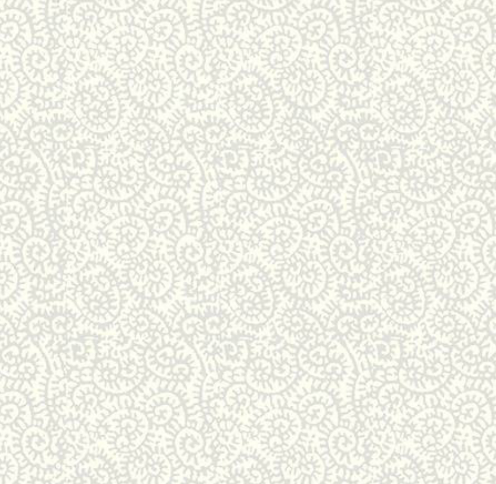 Peter Fasano | Fiddlehead