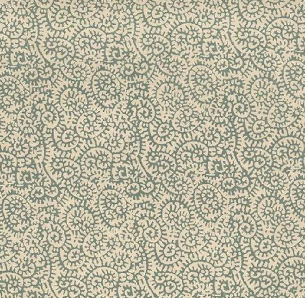 Peter Fasano | Fiddlehead