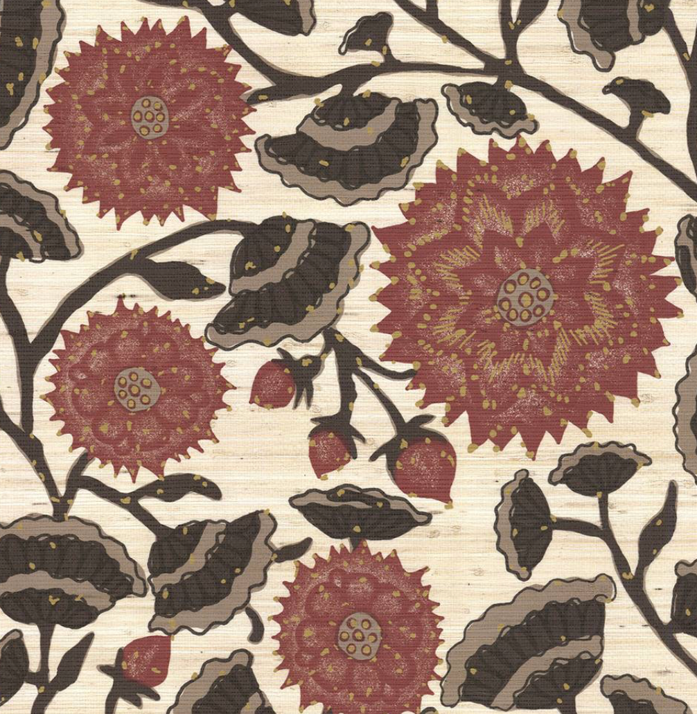 Peter Fasano | Jaipur