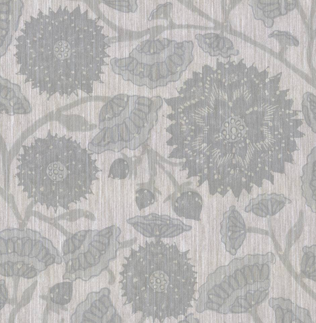 Peter Fasano | Jaipur