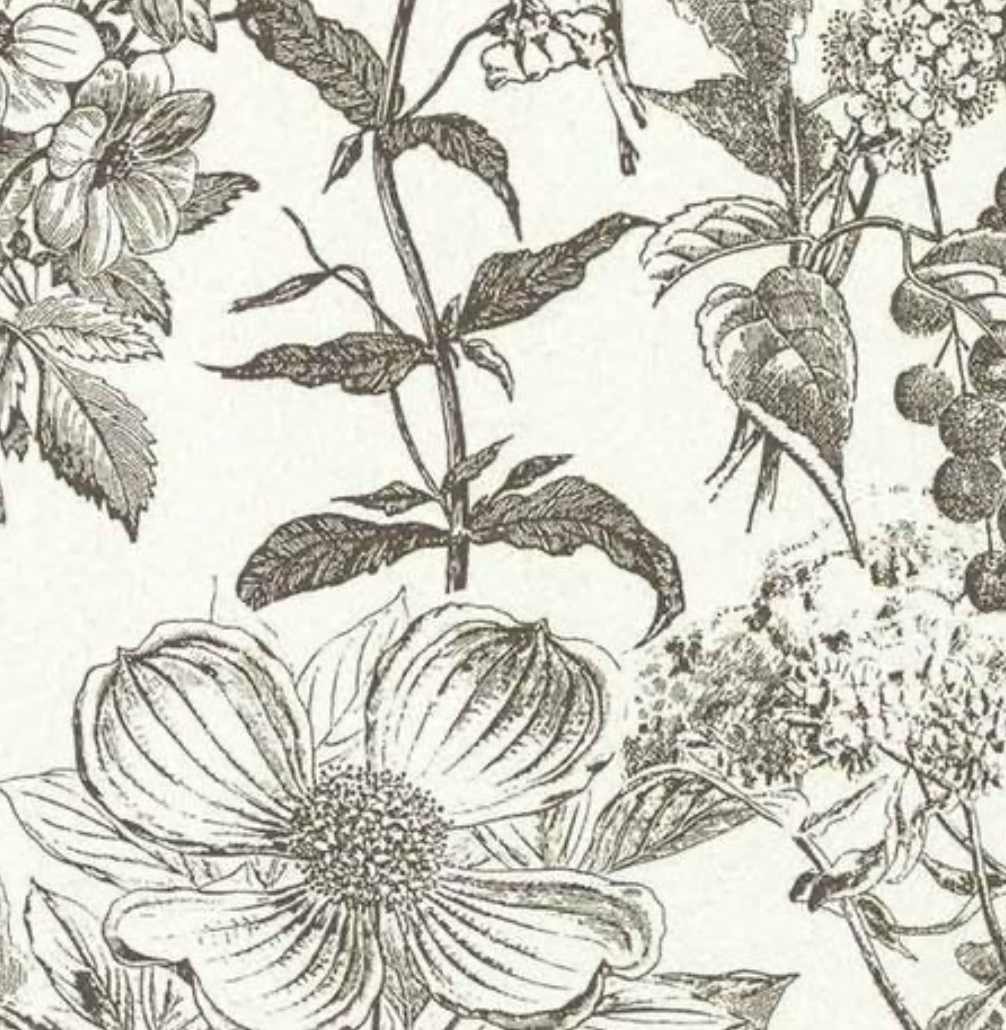 Peter Fasano | Meadow