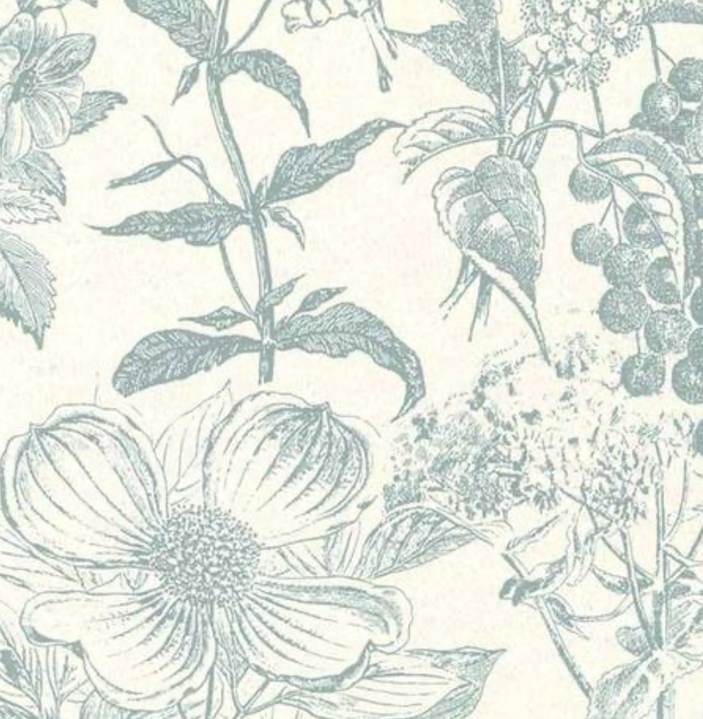 Peter Fasano | Meadow