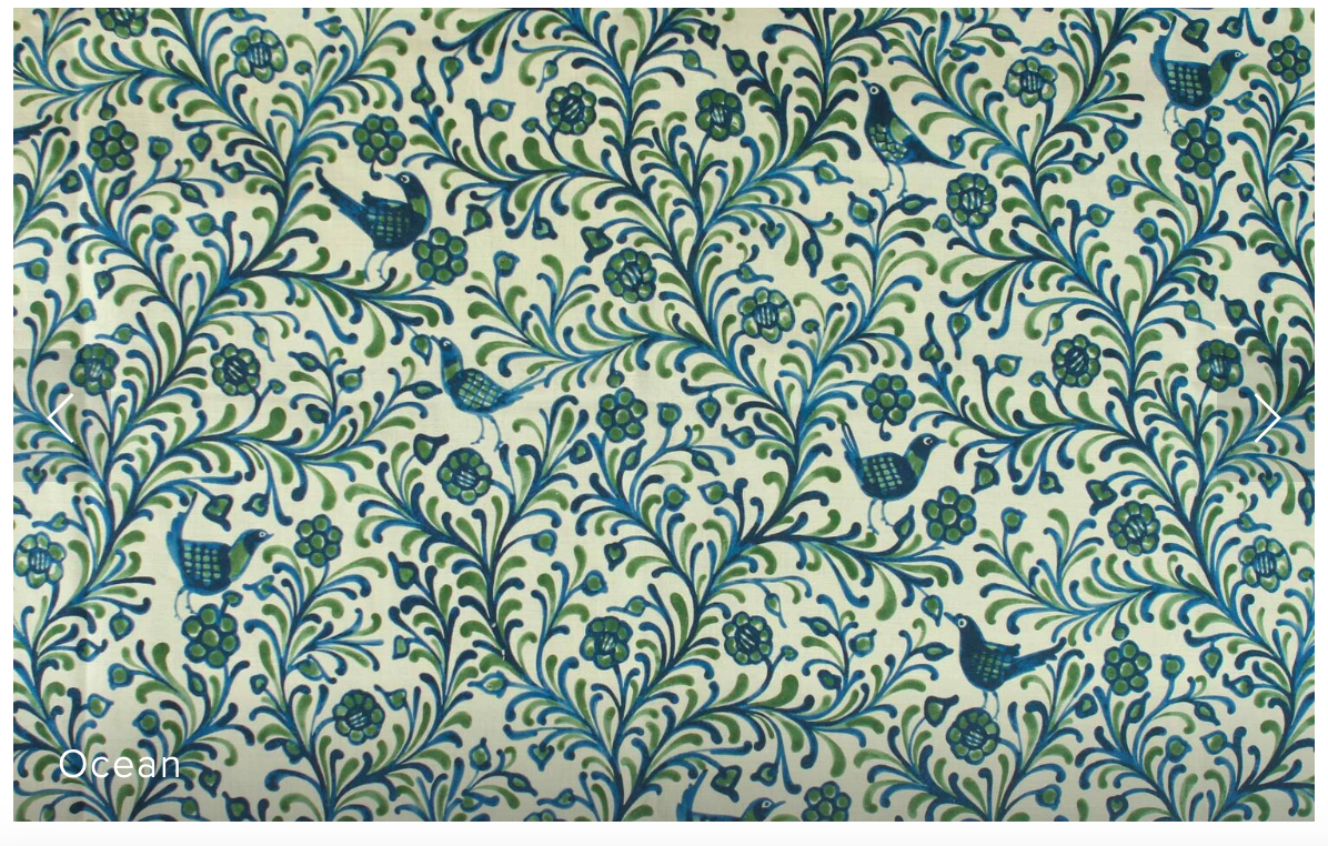 Carolina Irving | Arcos