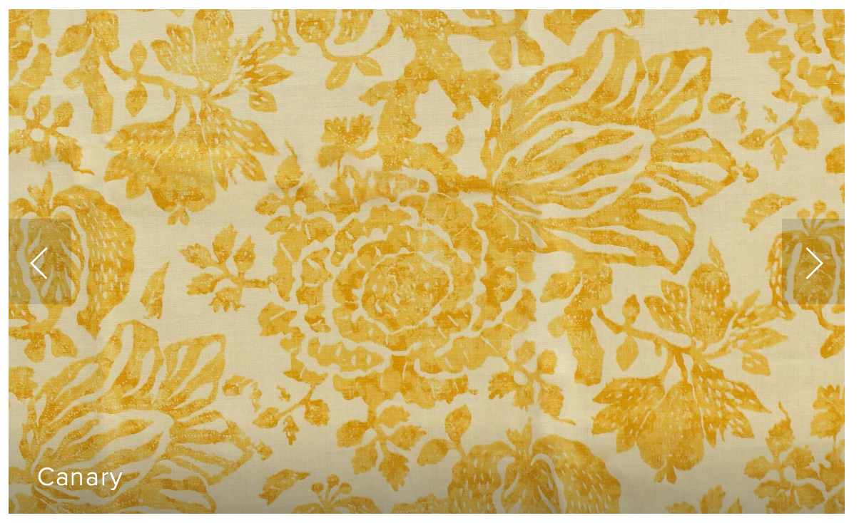 Carolina Irving | Exotic Bloom