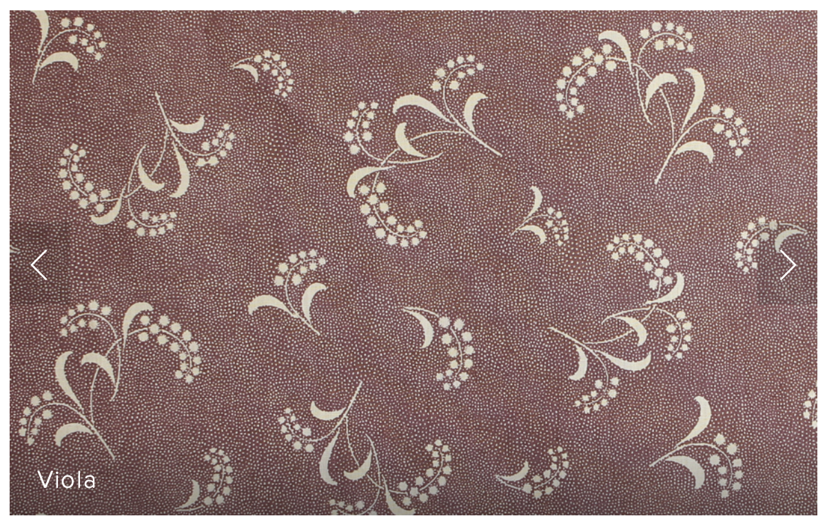 Carolina Irving | Mimosa