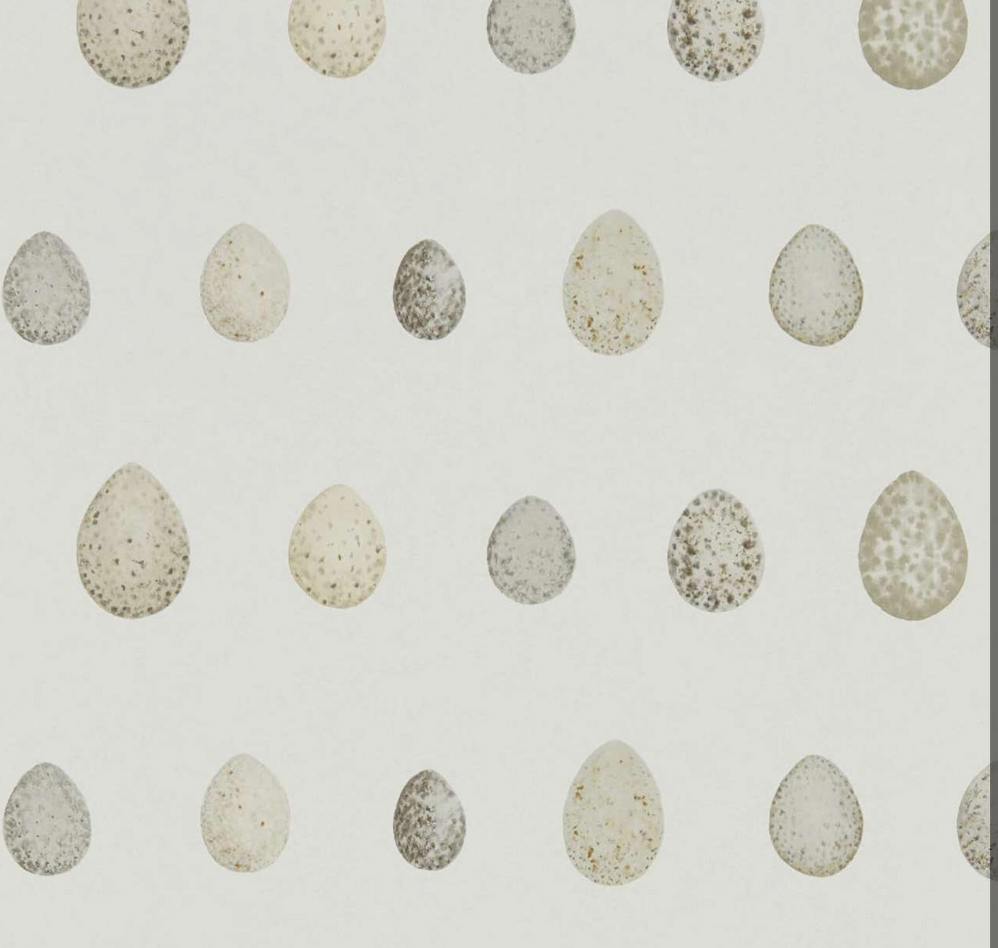 Sanderson | Nest Egg