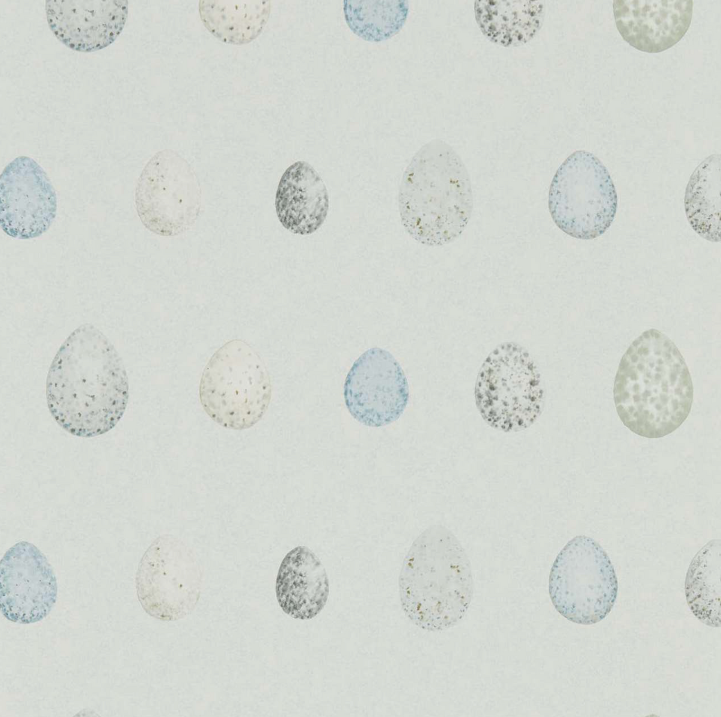 Sanderson | Nest Egg