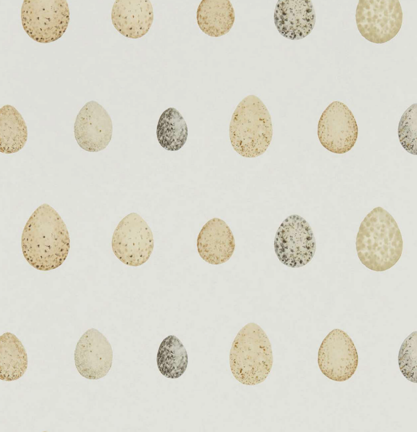 Sanderson | Nest Egg