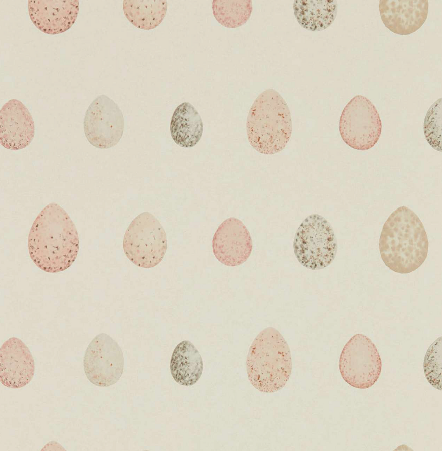 Sanderson | Nest Egg