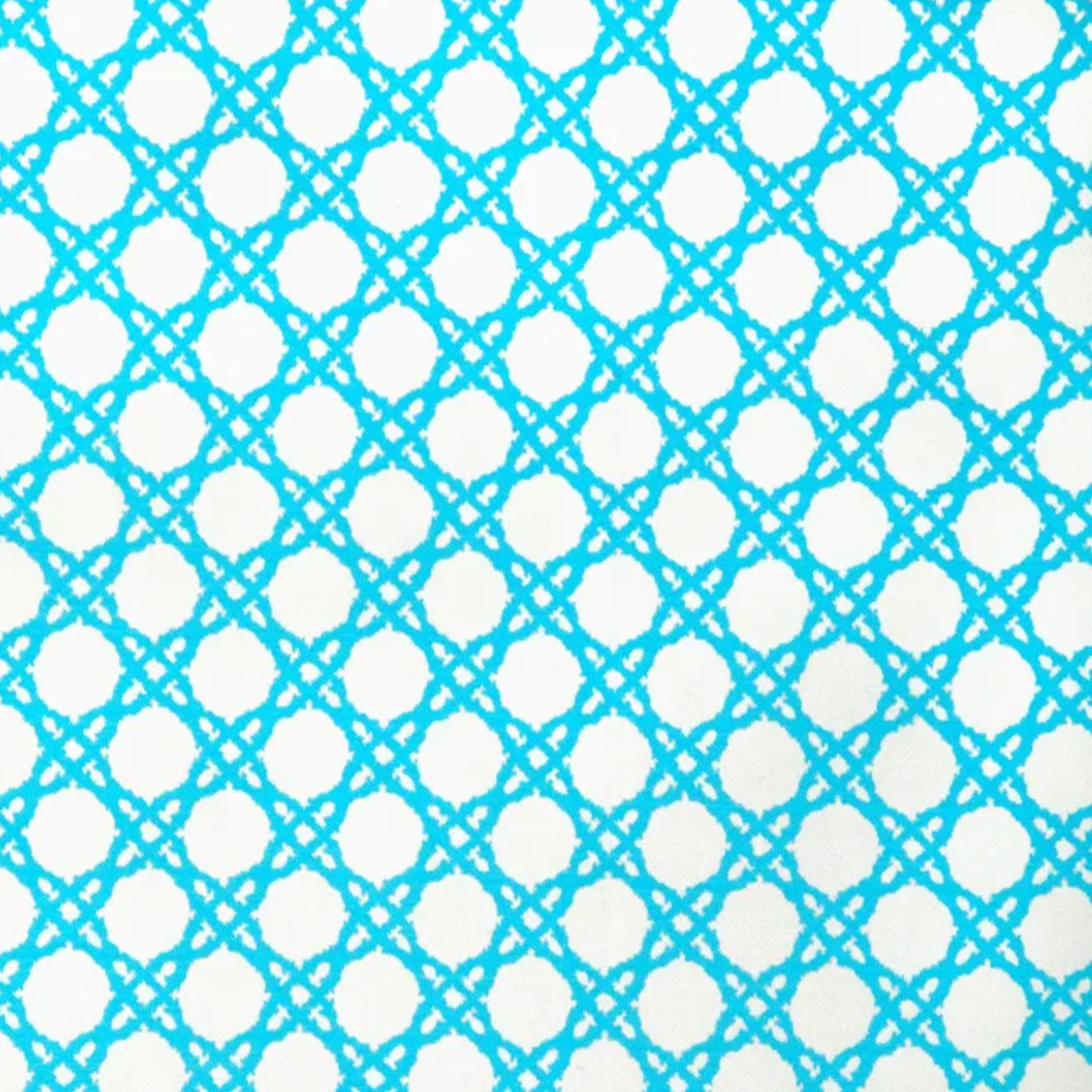 Lilly Pulitzer | Coastal Cane