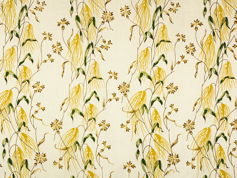 Namay Samay | Chinsura