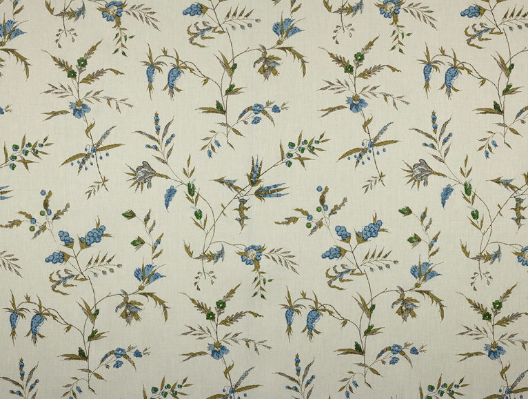 Namay Samay | Delfine