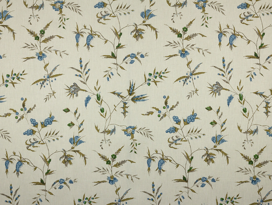 Namay Samay | Delfine