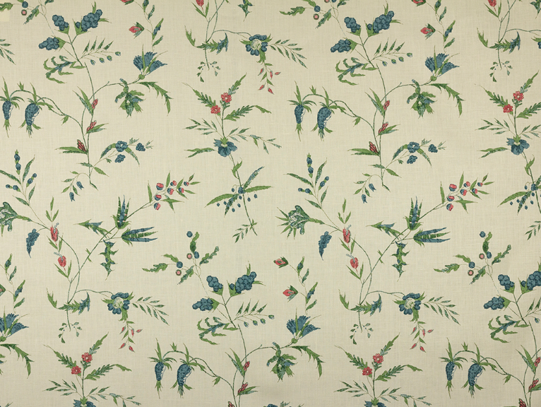 Namay Samay | Delfine