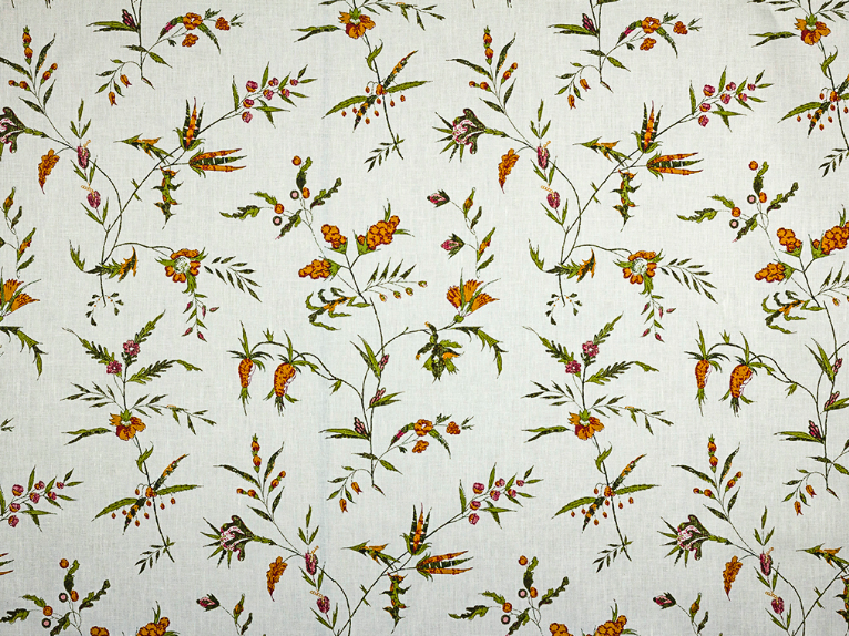 Namay Samay | Delfine