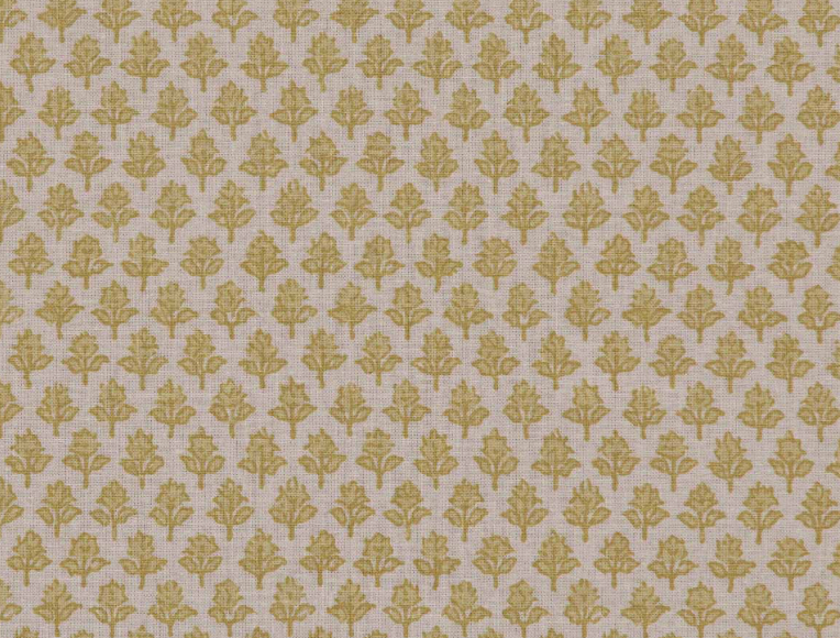 Namay Samay | Fategarh