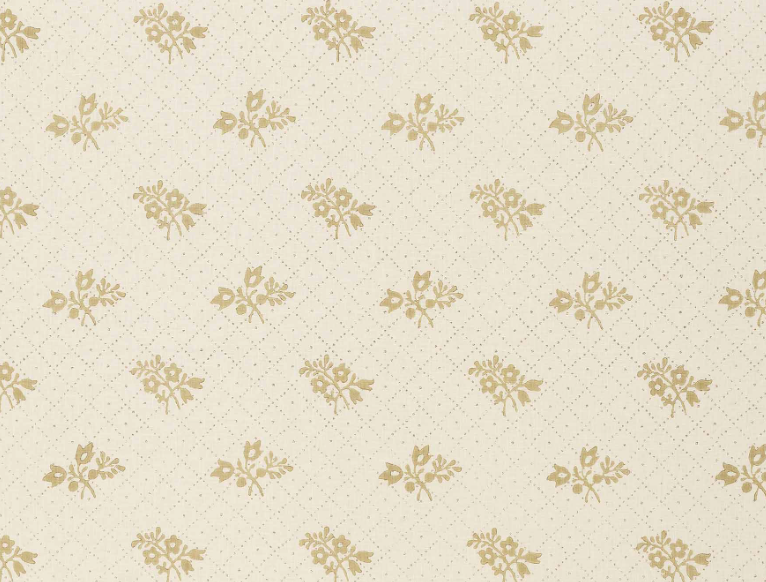 Namay Samay | Fiorellini