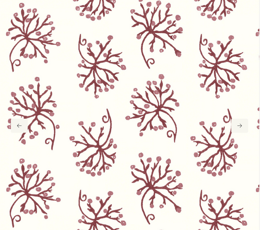 Penny Morrison | Juniper