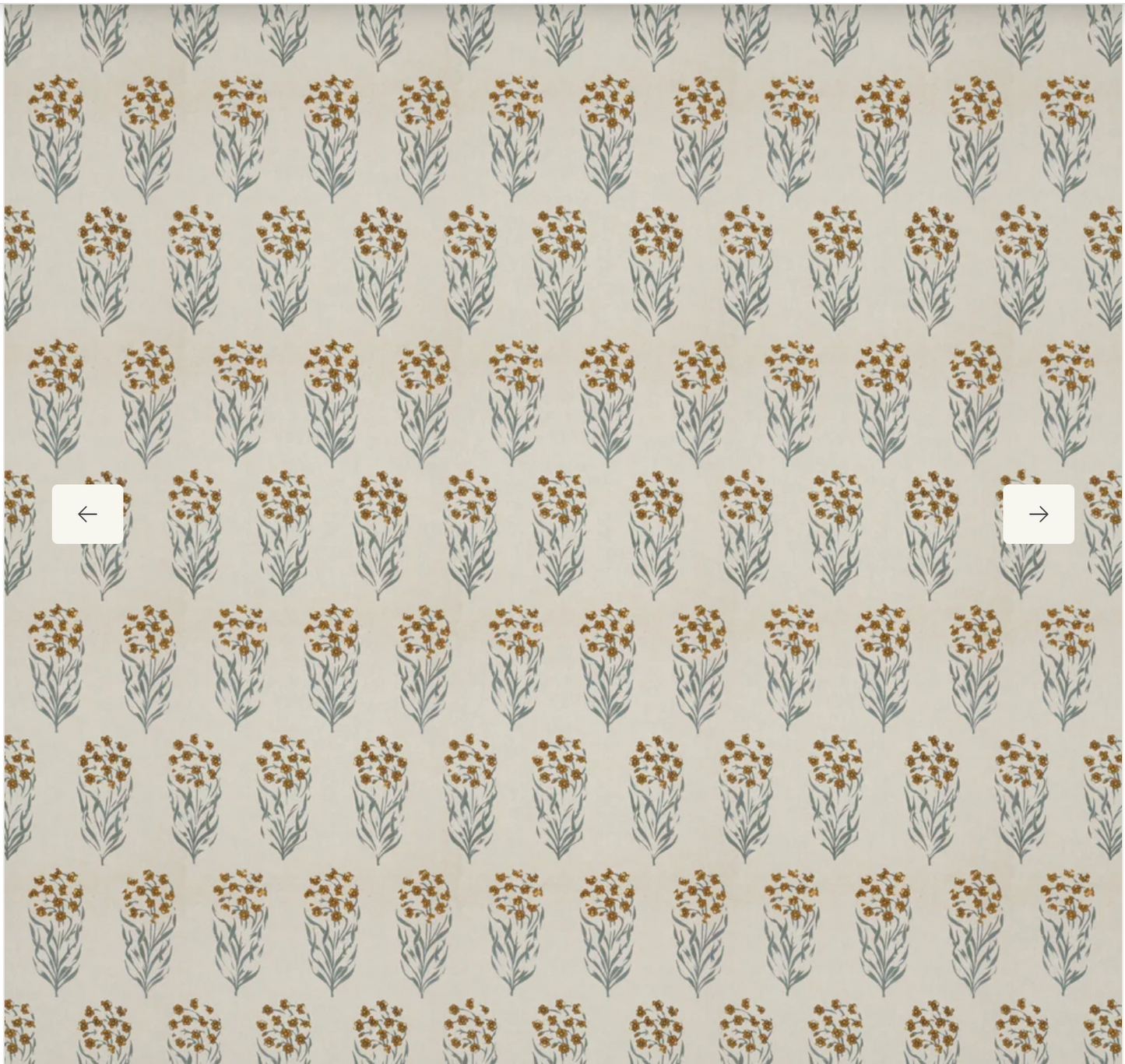 Penny Morrison | Kalindi