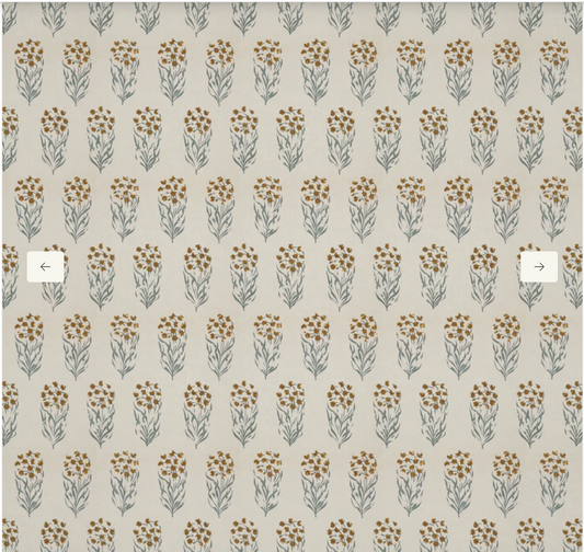 Penny Morrison | Kalindi