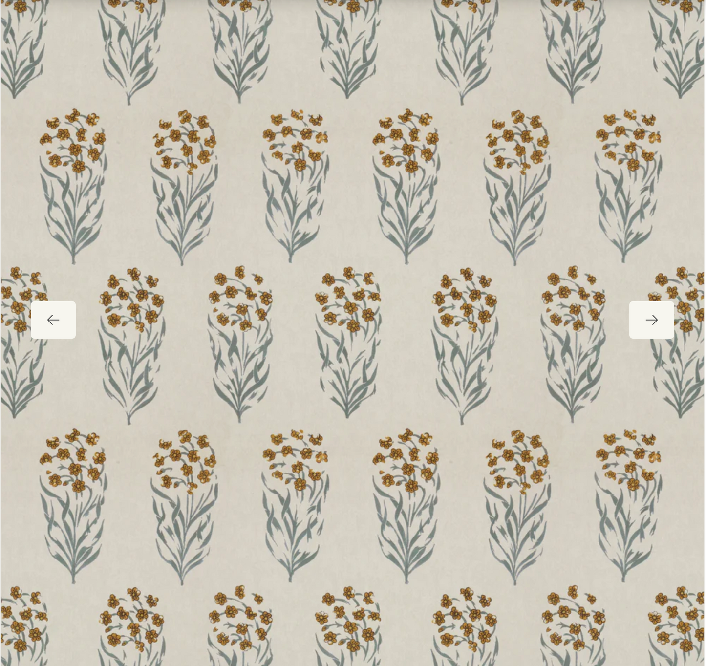 Penny Morrison | Kalindi