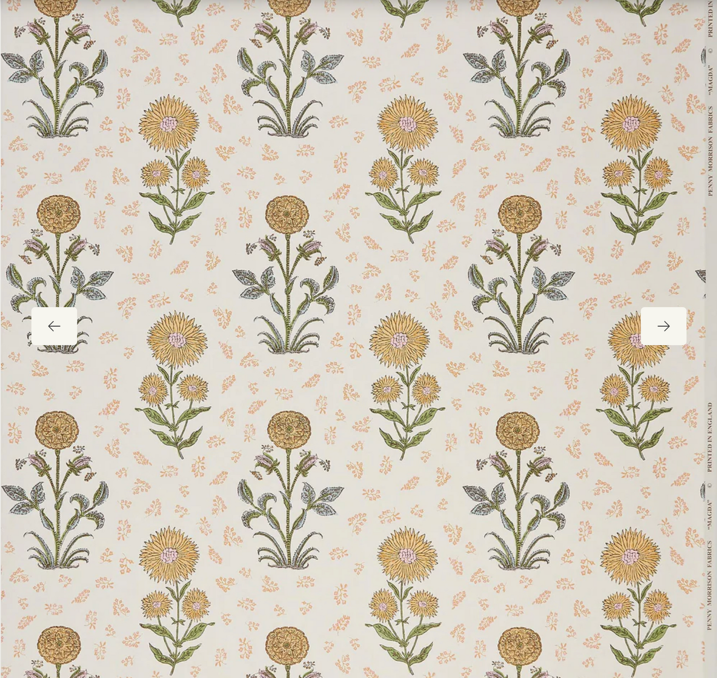 Penny Morrison | Magda