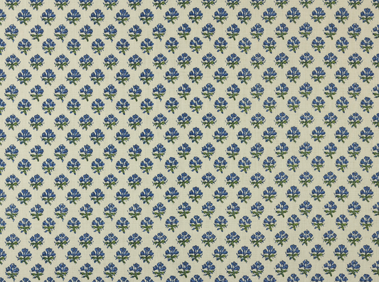 Namay Samay | Janavi